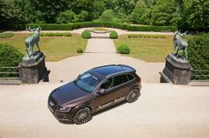 senner-q5-5