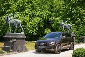 senner-q5-8