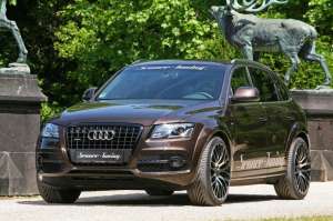 senner-q5-9