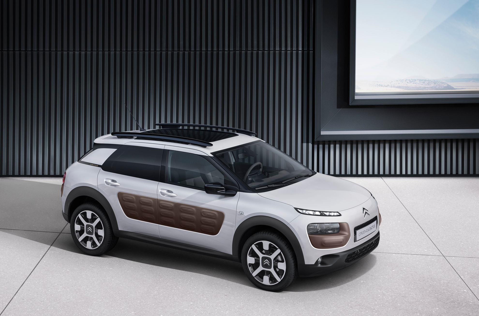 Citroen c4 кактус