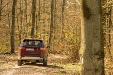 Land-Rover-Discovery-2017-Heckansicht-Standbild-im-Wald